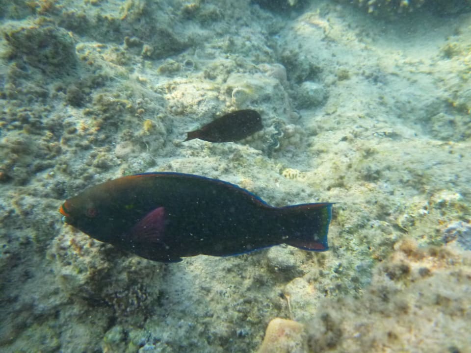 Sport & Freizeit Hotel Titanic Palace