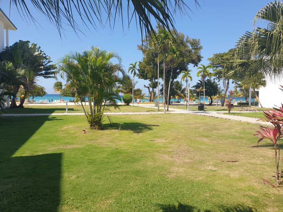 Gartenanlage Hotel Riu Palace Tropical Bay