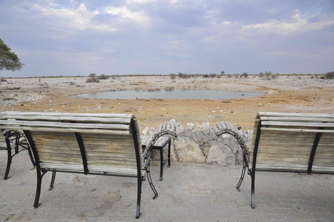 Wasserloch Okaukuejo Camp