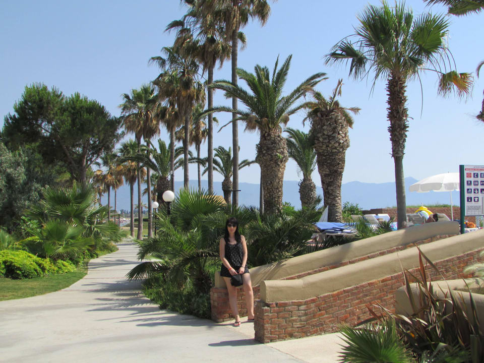 Hotel Ephesia Holiday Beach Club Ephesia Holiday Beach Club