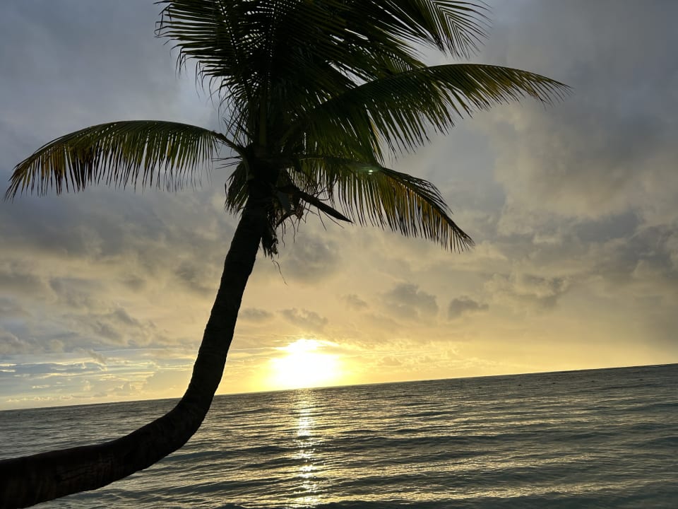 Strand Akumal Bay Beach & Wellness Resort