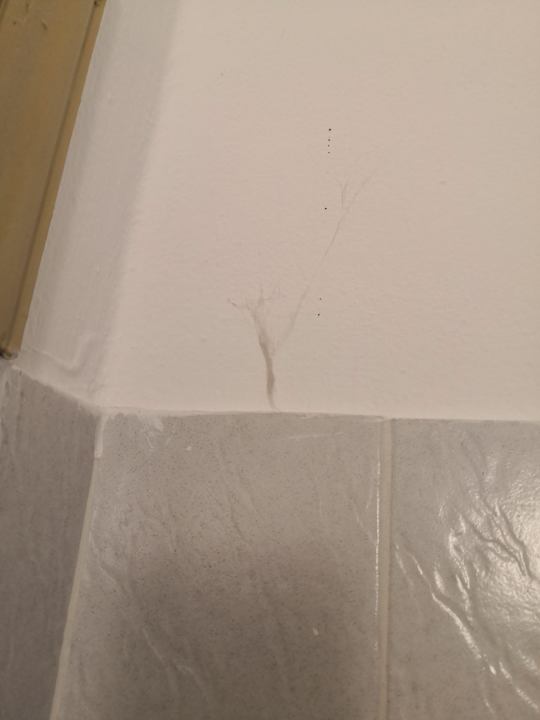 Zimmer Blue Nest Kos