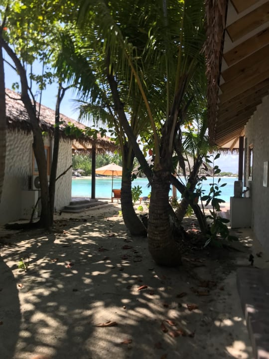 Ausblick Cinnamon Dhonveli Maldives