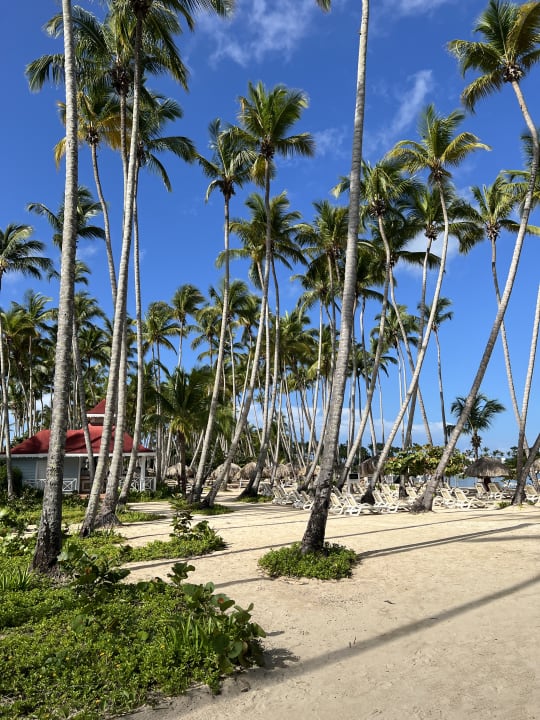 Strand Bahia Principe Luxury Bouganville