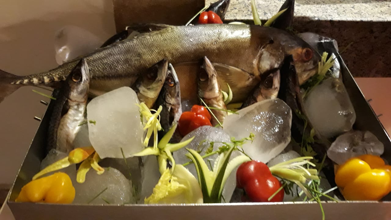 Gastro Shams Alam Beach Resort