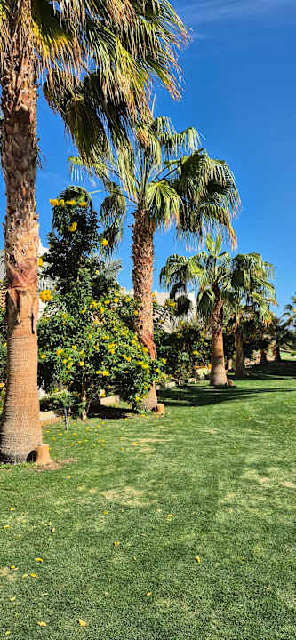 Gartenanlage Three Corners Sea Beach Resort