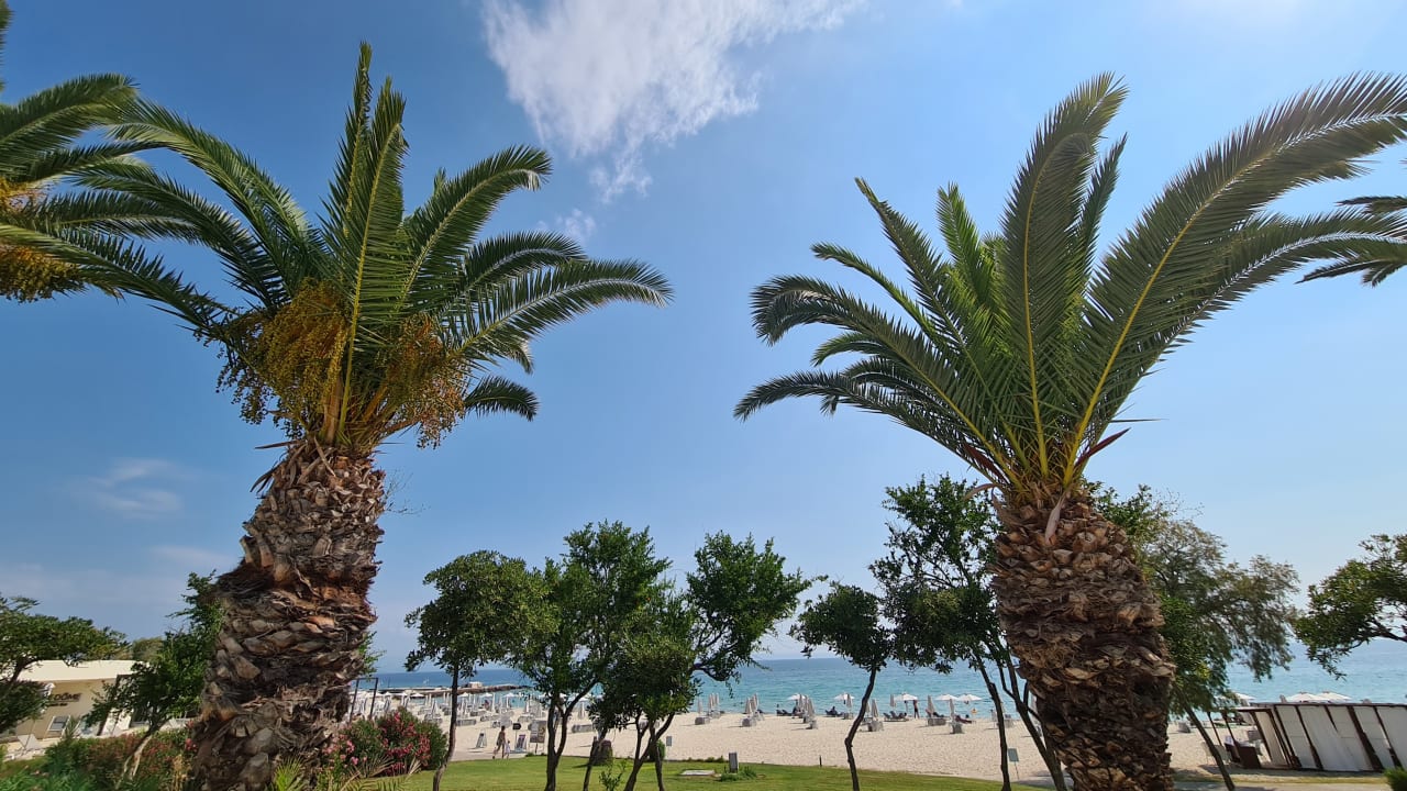 Strand Pallini Beach Hotel