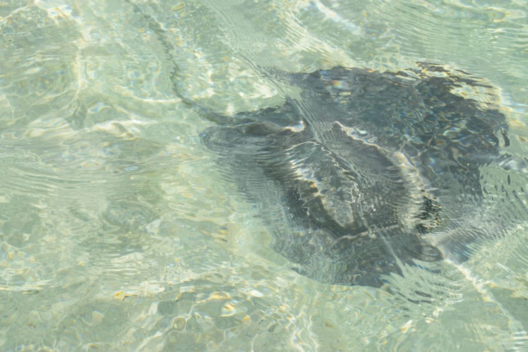 Außenansicht Centara Ras Fushi Resort & Spa Maldives