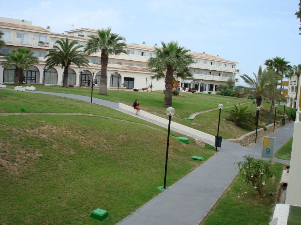 Garten blau punta reina