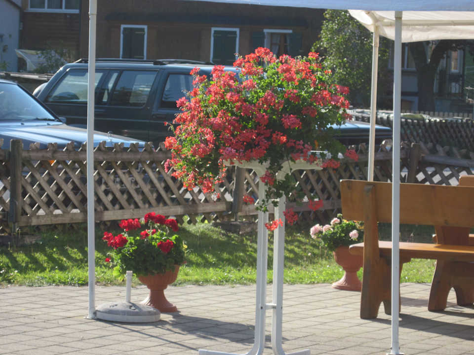 Laß Blumen sprechen Pension & Ferienwohnung Solaria