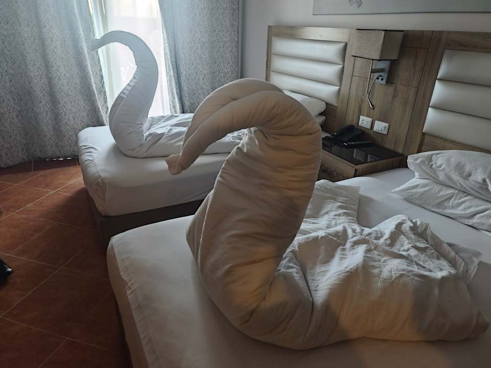 Zimmer Beach Albatros Resort