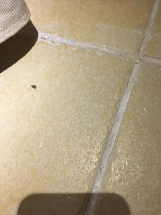 Zimmer Blau varadero - Adults only