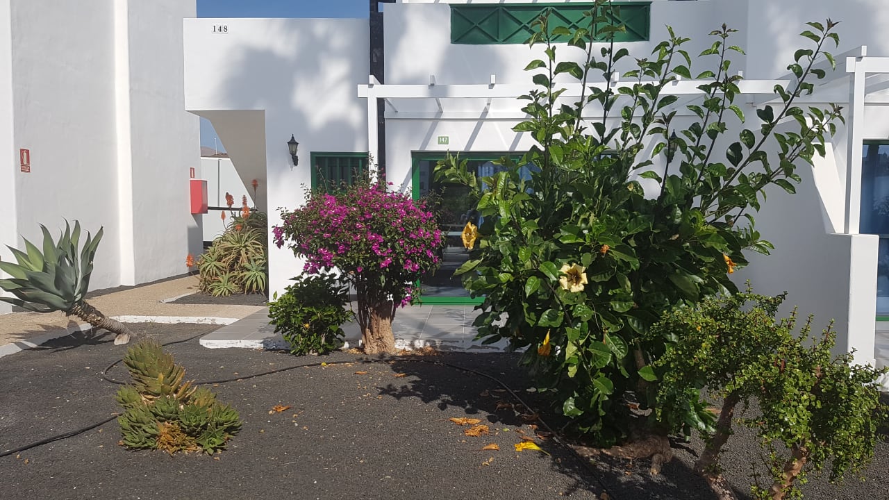 Gartenanlage Hotel Hyde Park Lane