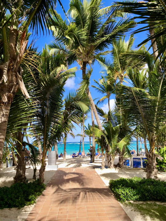 Strand Hotel Riu Palace Punta Cana