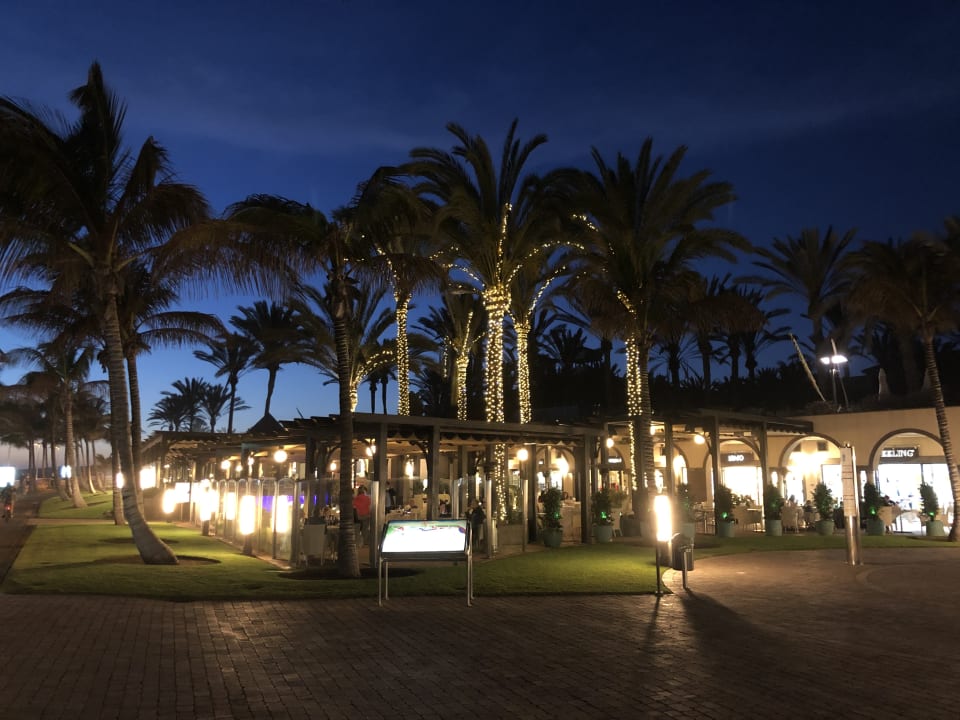 Ausblick Hotel Riu Palace Oasis