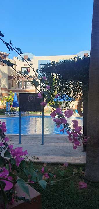 Pool Marina Resort Port Ghalib, a member of Radisson Individuals