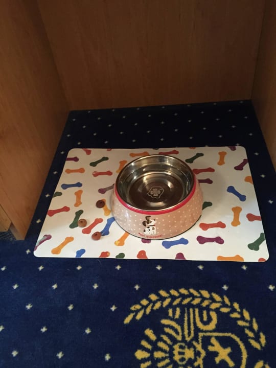 Willkommensnapf für unseren Hund BLOCK Hotel & Living