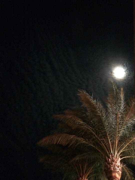 Strand Beach Albatros Resort