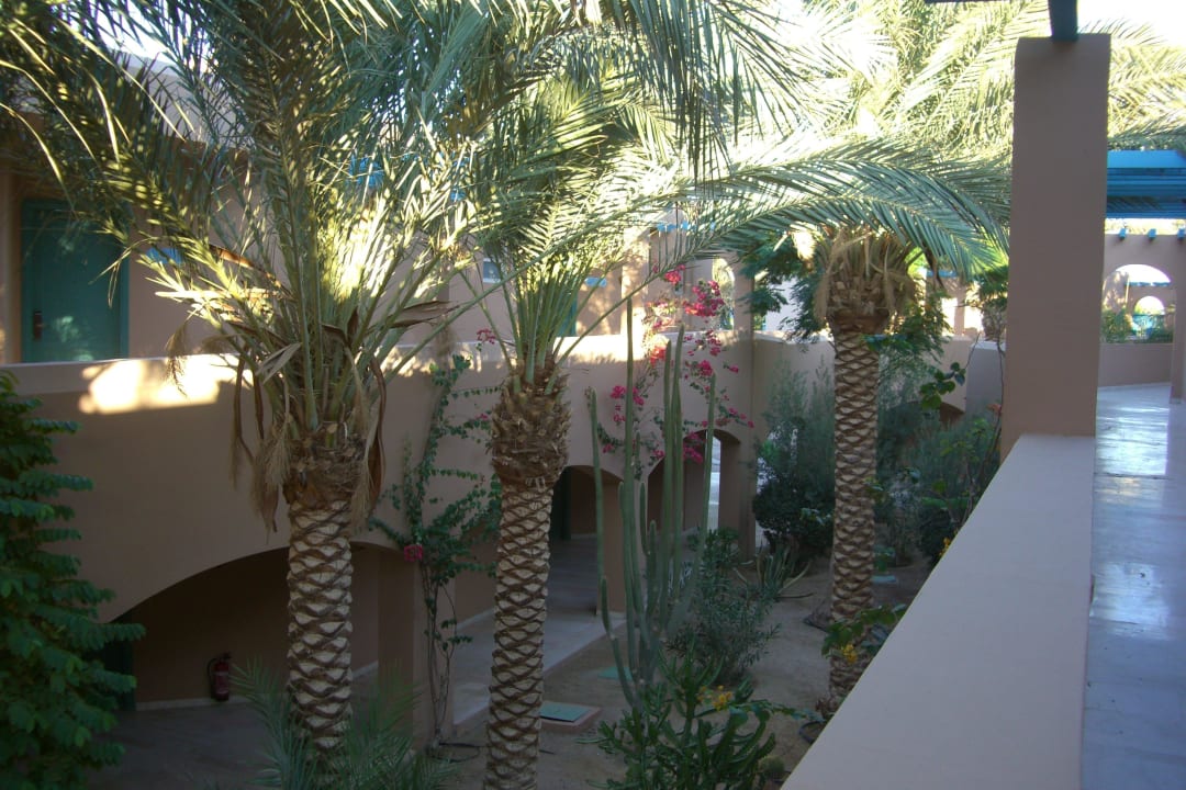 Innenhof Club Paradisio El Gouna, Red Sea