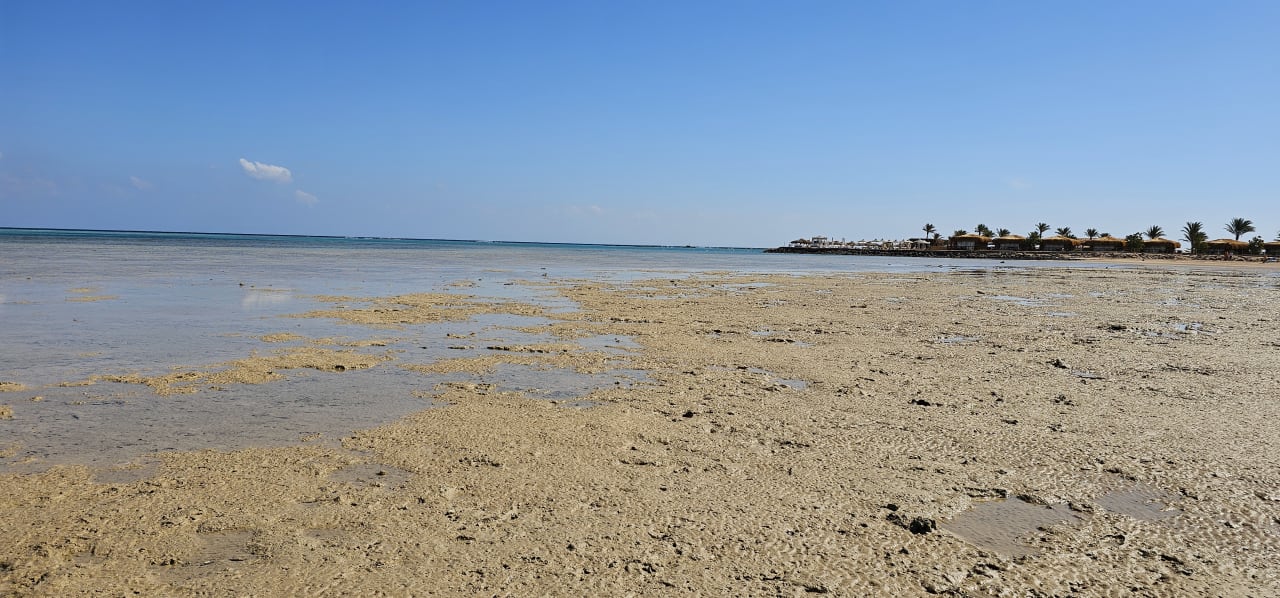 Strand Stella Beach Resort & Spa Makadi Bay