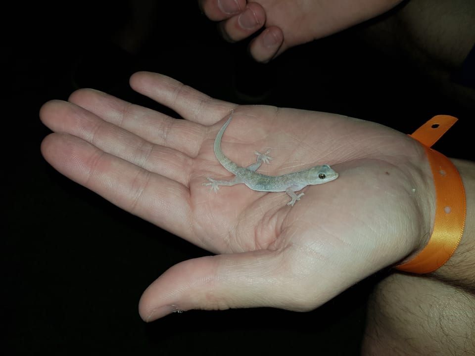 Sonstiges Casa Mare Resort