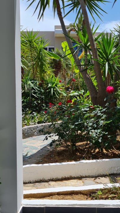 Außenansicht HARPIN Happy Days Beach Hotel