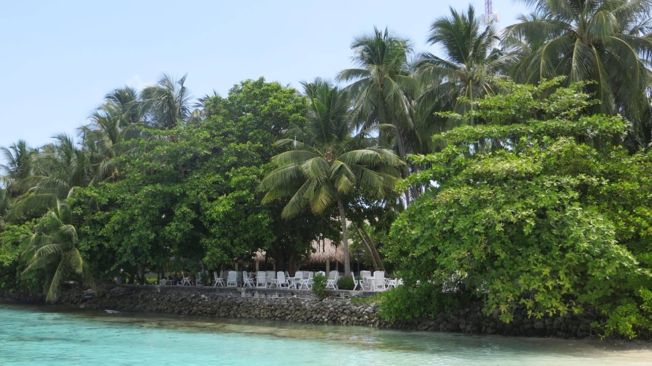 Hotel Fihalhohi Island Resort Fihalhohi Maldives