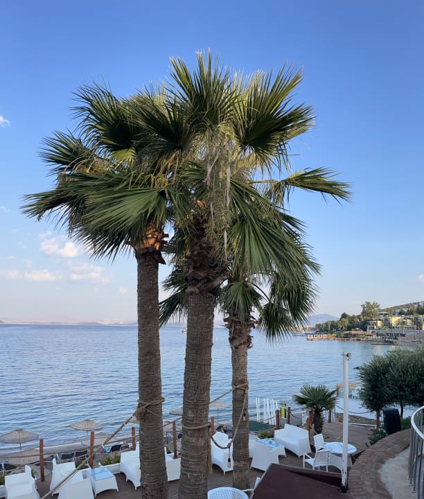 Ausblick TUI MAGIC LIFE Bodrum - Adult Only (16+)