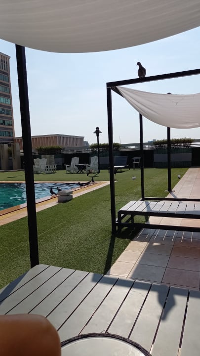 Pool Hotel Evergreen Place Bangkok