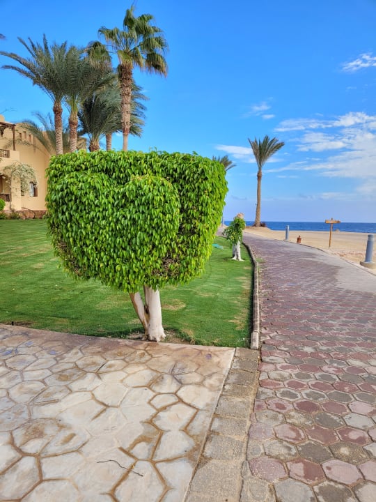 Außenansicht Steigenberger Coraya Beach - Adults only