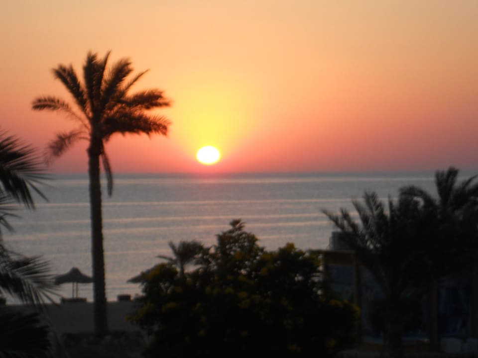 Ausblick aus dem Zimmer Three Corners Sea Beach Resort