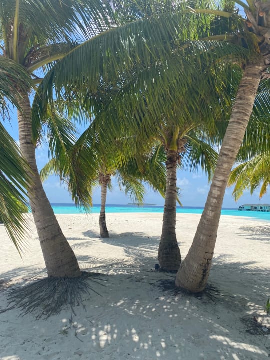 Strand NH Collection Maldives Havodda Resort