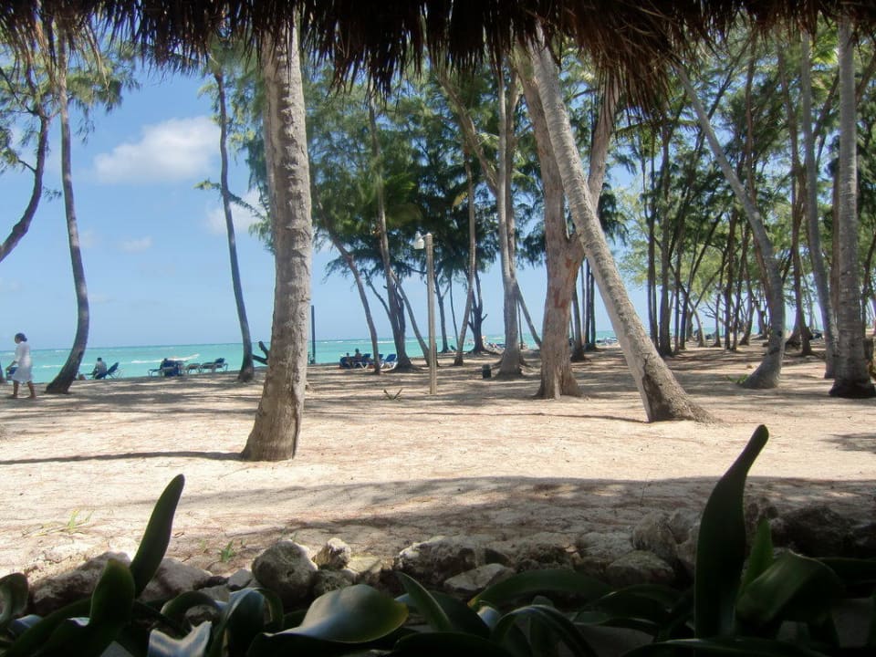 Strand Carabela Vista Sol Punta Cana