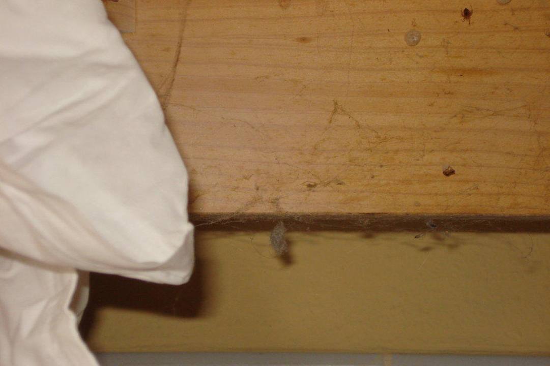 Liege im Wohnraum Marino Tenerife