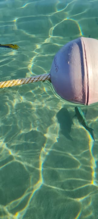 Strand Makadi Spa - Adults only