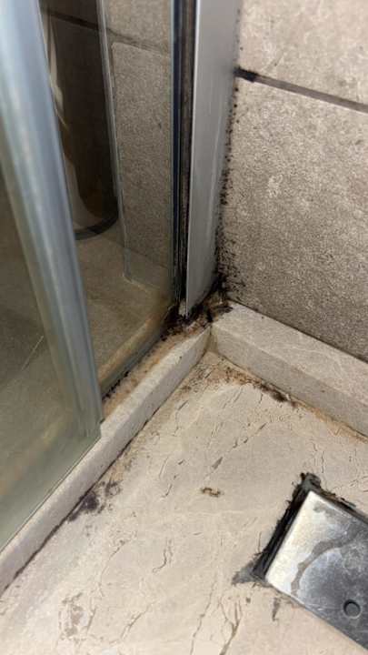 Zimmer Palm Wings Kusadasi Beach Resort & Spa