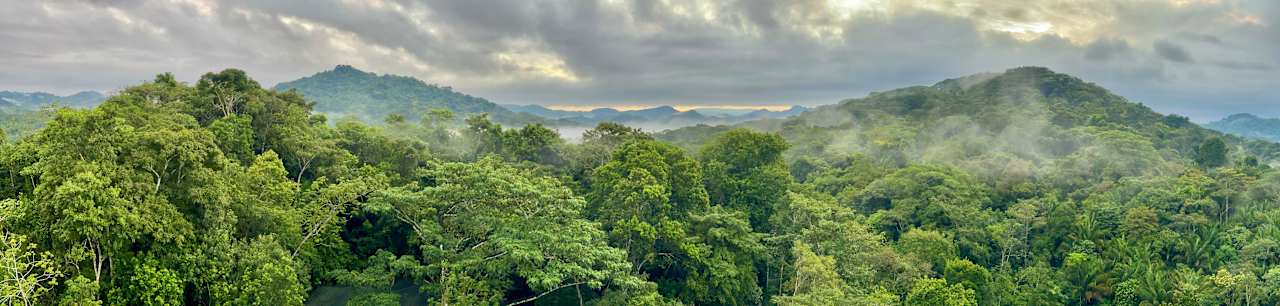 Ausblick Summit Rainforest & Golf Resort