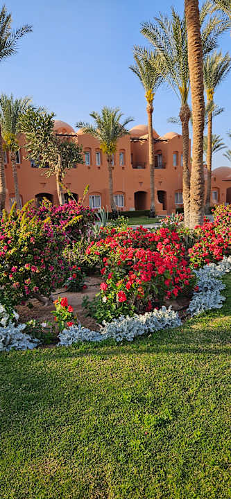 Gartenanlage Jaz Makadi Oasis Resort