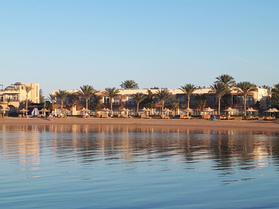 Ausblick Desert Rose