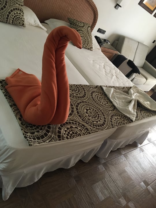 Zimmer Hotel Riu Touareg