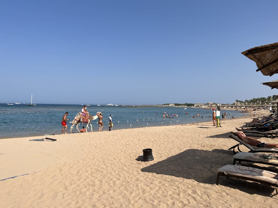 Strand Jaz Makadina