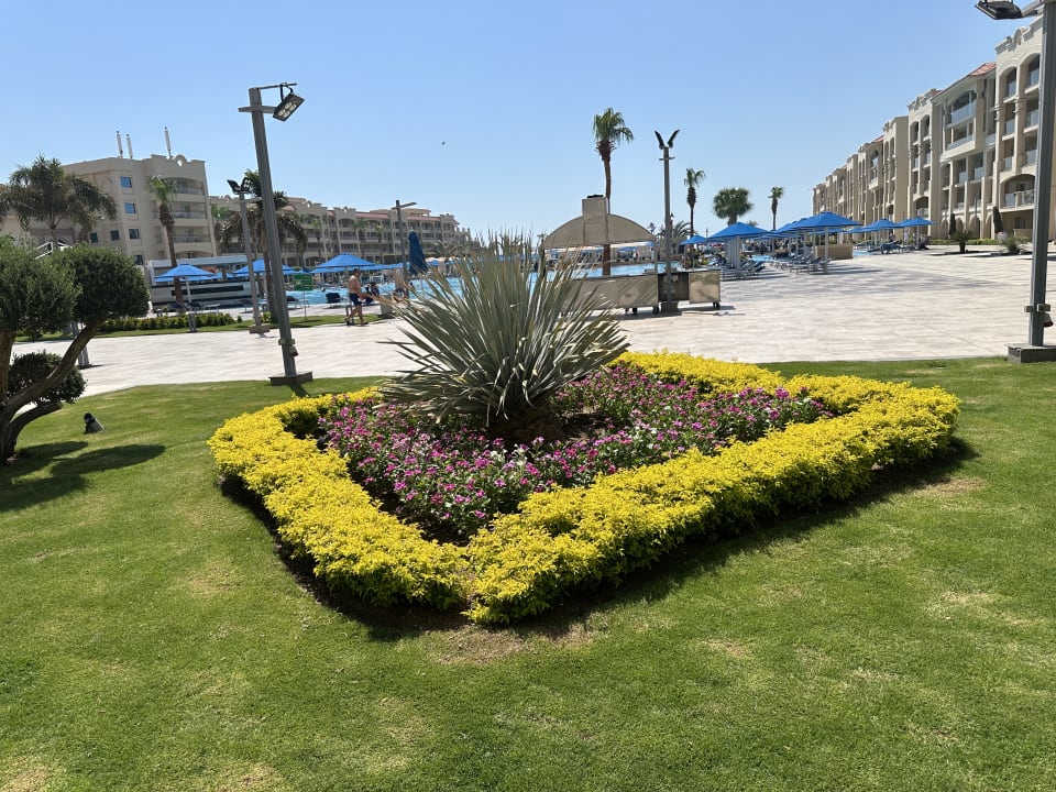 Gartenanlage Pickalbatros White Beach Resort - Hurghada
