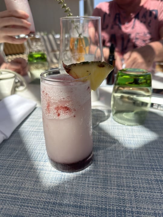 Gastro JAZ Elite Amara