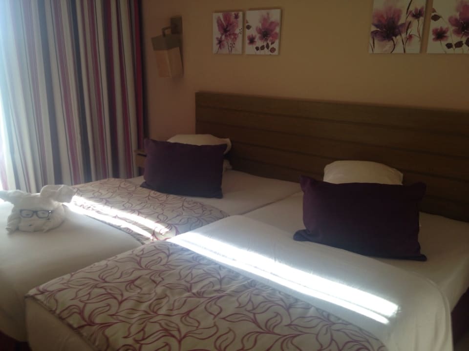 Zimmer Lemon & Soul Makadi Garden