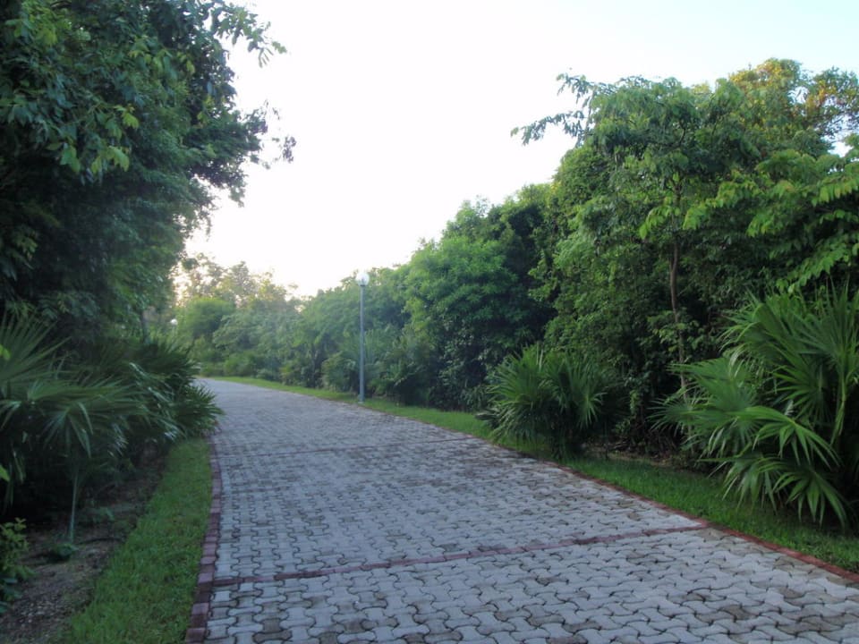 Weg durch die Hotelanlage, ein Erlebnis Grand Palladium Kantenah Resort & Spa