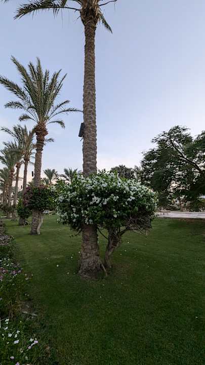 Gartenanlage Brayka Bay Resort