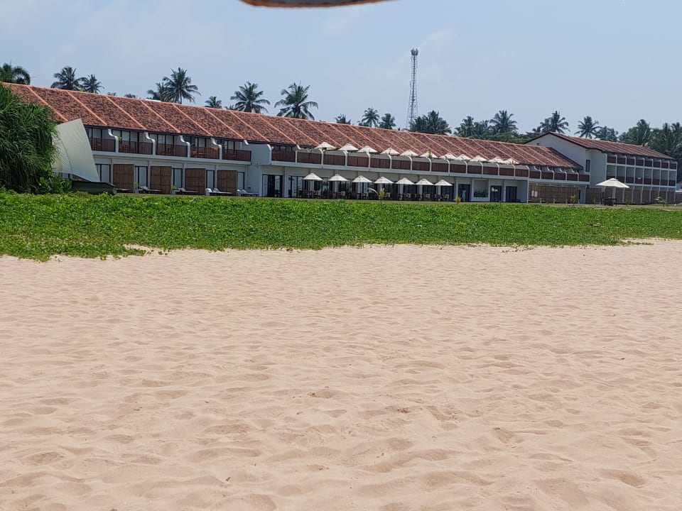 Außenansicht EKHO Surf