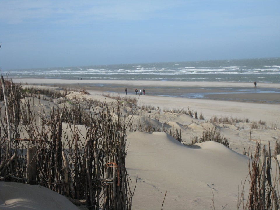 Blick von der Düne zum Meer Center Parcs Park De Haan