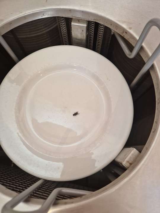 Gastro Bakour Fuerteventura La Pared