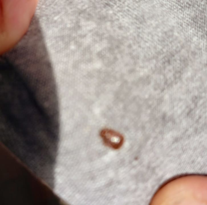 Sonstiges BLUESEA Complejo Puerto Resort (Canarife y Bonanza Palace))